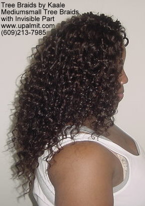 Mediumsmall tree braids with signature Invisible part.
