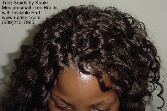 Mediumsmall tree braids with signature Invisible part, Top301.