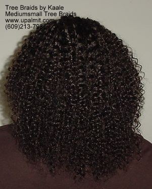 Summer Kinky curly Tree Braids- Back.
