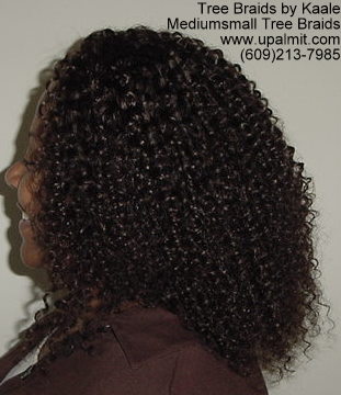 Summer Kinky curly Tree Braids- Left.