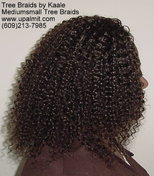 Summer Kinky curly Tree Braids- Right.