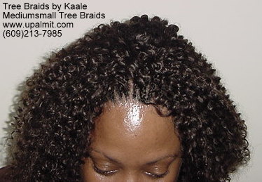 Summer Kinky curly Tree Braids- Top2.