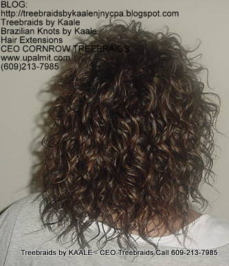 Treebraids by KAALE- Wavy CEO Treebraids, Back2201.