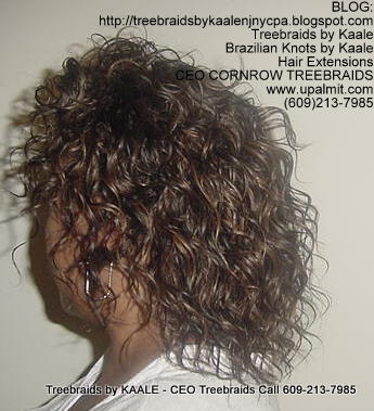 Treebraids by KAALE- Wavy CEO Treebraids, Left2202.