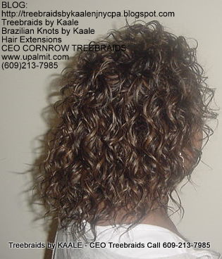 Treebraids by KAALE- Wavy CEO Treebraids, Right2203.