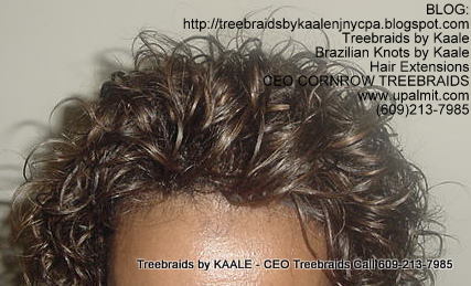 Treebraids by KAALE- Wavy CEO Treebraids, Top2204.