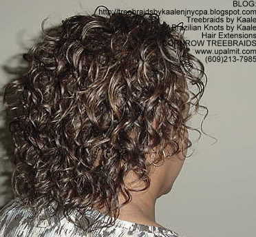 Treebraids by KAALE- Wavy, Right2169.