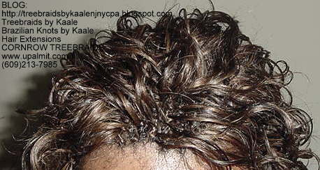 Treebraids by KAALE- Wavy, Top2171.