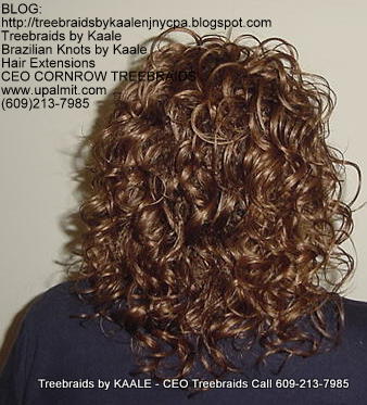 Treebraids by KAALE- Wavy CEO Treebraids, Back2205.