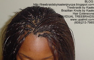 Straight Treebraids, KRight134.