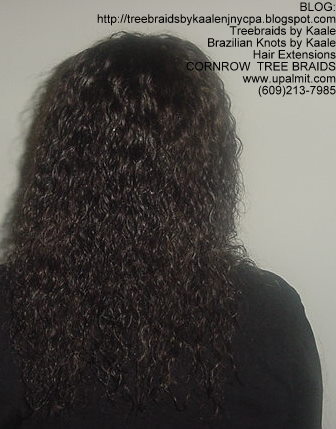 Wet & Wavy cornrow Treebraids, Back258.