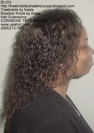 Wet & Wavy cornrow Treebraids, Right259.