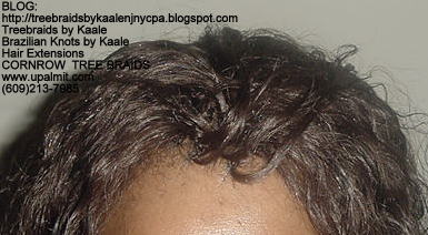 Wet & Wavy cornrow Treebraids, Top261.