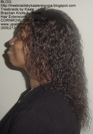 Wet & Wavy cornrow Treebraids, Left260.