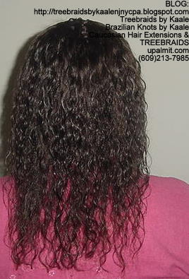 Tree Braids with Wet n wavy human hair 1Pk Back306.