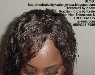 Tree Braids with Wet n wavy human hair 1Pk Top309.