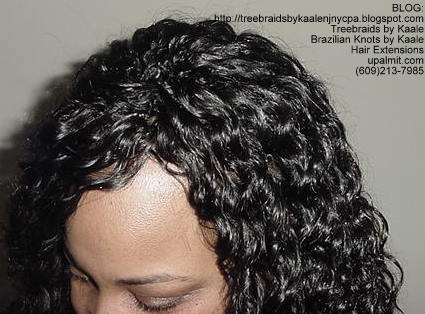 Wavy Tree Braids, Top123.