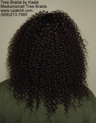 Summer, vacation, and beach Kinky curly Tree Braids- back view.