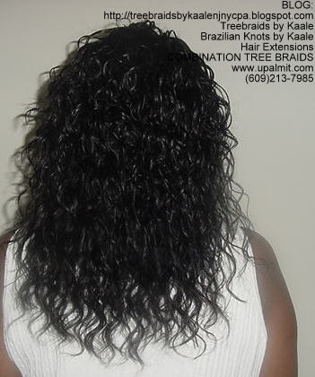 Wavy Individual Treebraids, Back139.