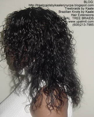 Wavy Individual Treebraids, Left140.