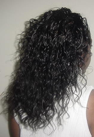 Wavy Individual Treebraids, Right141.