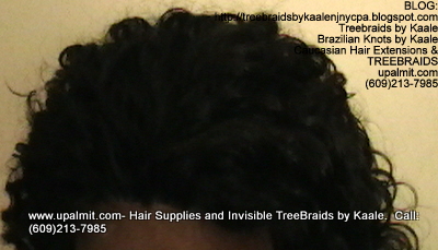 Tree Braids- Cornrows with Deep Bulk human hair, Corporate Top2323.
