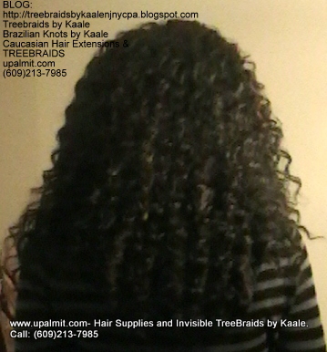 Tree Braids- Cornrows with Wavy human hair Back2304.