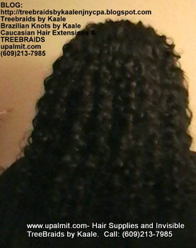 Tree Braids- Cornrows with Deep Bulk human hair, Back2351.