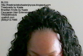 Tree Braids Wavy- Top2281.