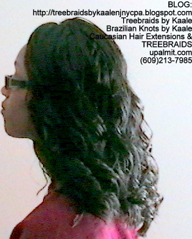 Tree Braids Wavy- Left2279.
