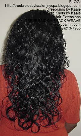 Wavy Treebraids, Back221.
