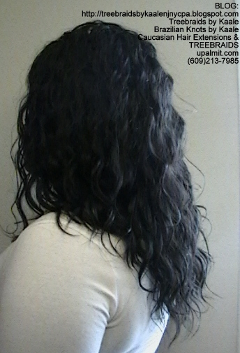 Tree Braids- Cornrows with Wavy human hair Left2297.