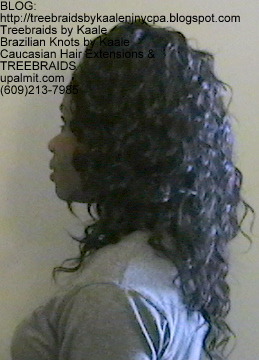 Tree Braids Wavy human hair Left343.