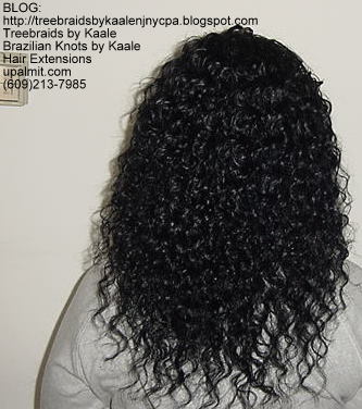 Curly Tree Braids, Back86.