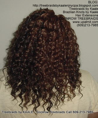Tree Braids using KAALE Brand Deep Bulk human hair Back209.