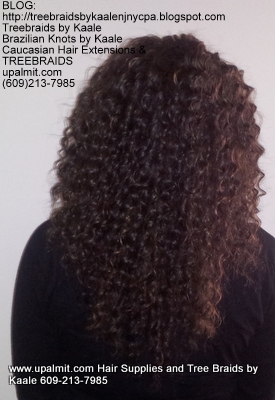 Tree Braids- Cornrows with Wavy human hair Back2300.