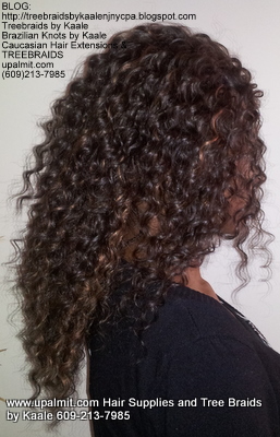 Tree Braids- Cornrows with Wavy human hair Right2302.