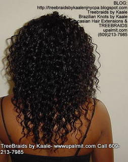 Wavy cornrow Treebraids, Back283.