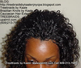 Wavy cornrow Treebraids, Top286.