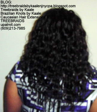 Tree Braids- Wavy Back2240.