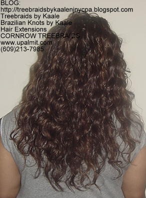 Treebraids by KAALE- Wavy, Back2173.