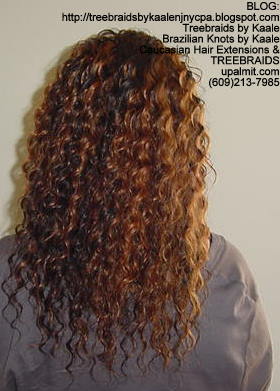 Wavy cornrow Treebraids, Back278.