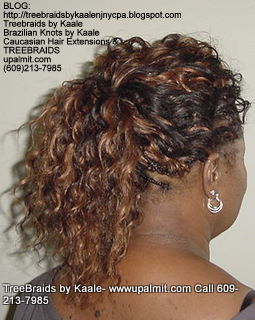 Wavy cornrow Treebraids, Backponytail279.