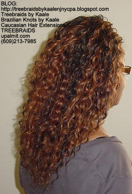 Wavy cornrow Treebraids, Right280.