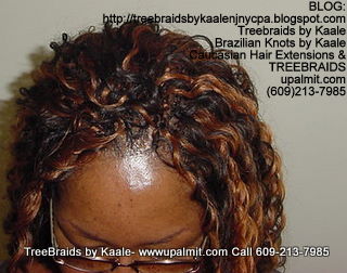 Wavy cornrow Treebraids, Top282.