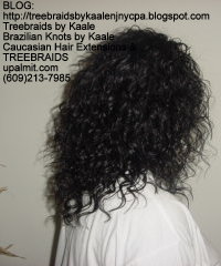 Tree Braids with Wet n Wavy human hair Right2219.