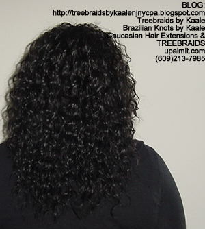 Treebraids with Wavy human hair Back2201.