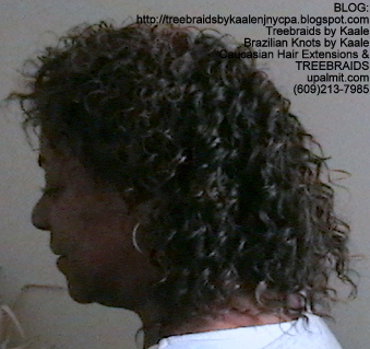 Tree Braids Wavy- JB Left2275.