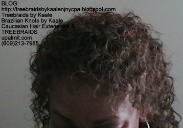 Tree Braids Wavy- JB Top2277.