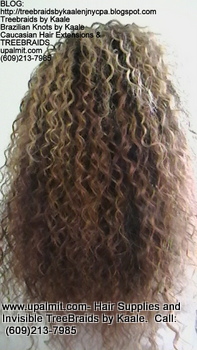 Tree Braids- Cornrows with wavy human hair, Back2355.